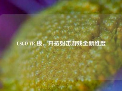 CSGO VR 板，开拓射击游戏全新维度
