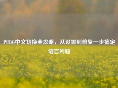 PUBG中文切换全攻略，从设置到修复一步搞定语言问题