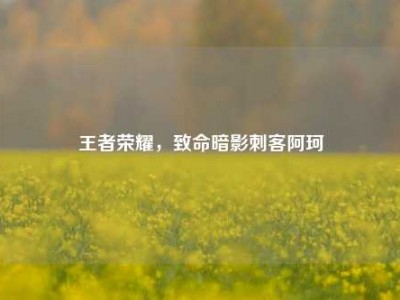 王者荣耀，致命暗影刺客阿珂