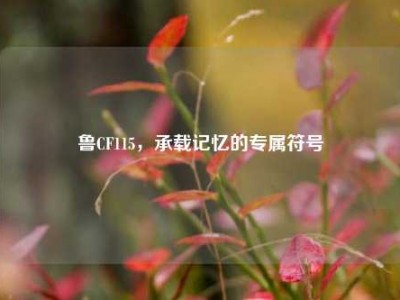 鲁CF115，承载记忆的专属符号