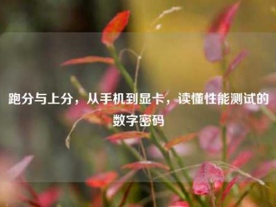 跑分与上分，从手机到显卡，读懂性能测试的数字密码