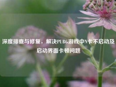 深度排查与修复，解决PUBG游戏中N卡不启动及启动界面卡顿问题