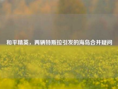 和平精英，两辆特斯拉引发的海岛合并疑问