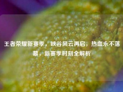 王者荣耀新赛季，峡谷风云再启，热血永不落幕，新赛季时刻全解析
