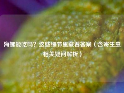 海螺能吃吗？这些细节里藏着答案（含寄生虫相关疑问解析）