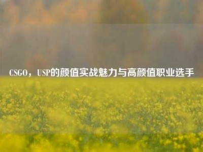 CSGO，USP的颜值实战魅力与高颜值职业选手