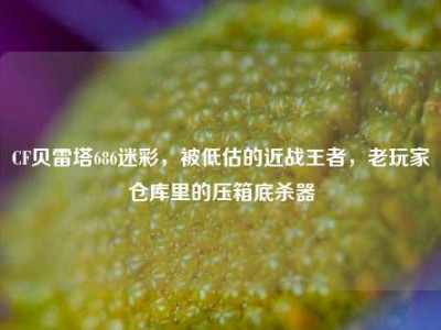 CF贝雷塔686迷彩，被低估的近战王者，老玩家仓库里的压箱底杀器