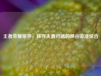 王者荣耀原声，探寻夫妻对唱的峡谷浪漫组合