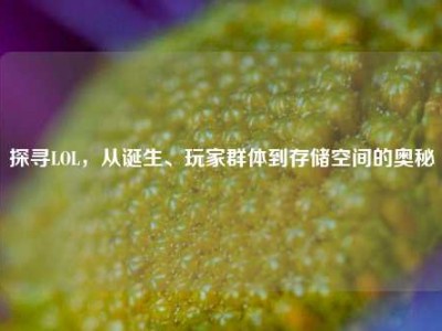 探寻LOL，从诞生、玩家群体到存储空间的奥秘