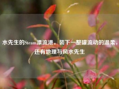 水先生的Steam漂流港，装下一整罐流动的温柔，还有地理与风水先生