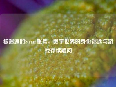 被遣返的Steam账号，数字世界的身份迷途与游戏存续疑问