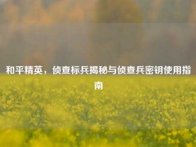 和平精英，侦查标兵揭秘与侦查兵密钥使用指南