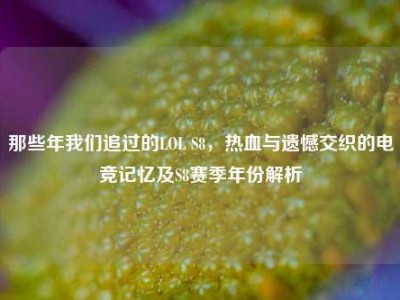 那些年我们追过的LOL S8，热血与遗憾交织的电竞记忆及S8赛季年份解析