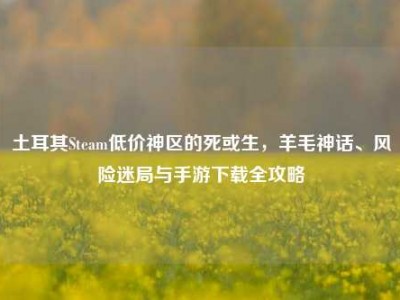 土耳其Steam低价神区的死或生，羊毛神话、风险迷局与手游下载全攻略