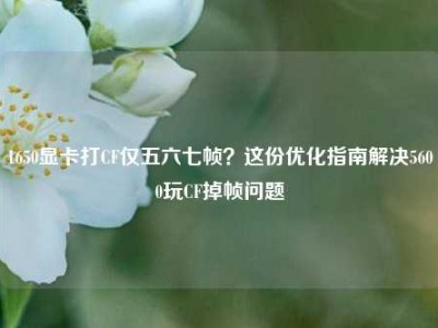 1650显卡打CF仅五六七帧？这份优化指南解决5600玩CF掉帧问题