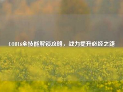 COD16全技能解锁攻略，战力提升必经之路
