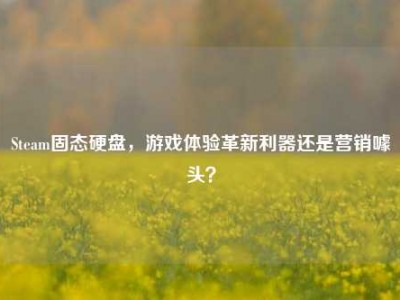 Steam固态硬盘，游戏体验革新利器还是营销噱头？
