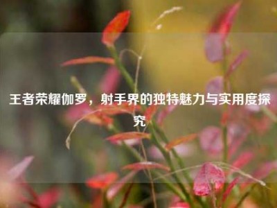 王者荣耀伽罗，射手界的独特魅力与实用度探究