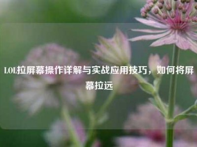 LOL拉屏幕操作详解与实战应用技巧，如何将屏幕拉远