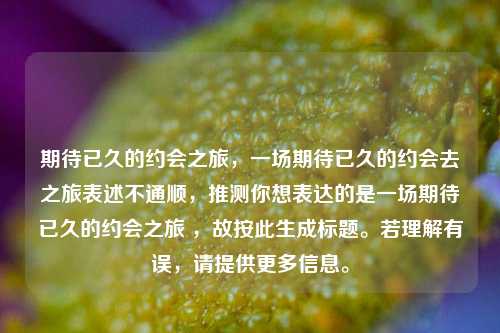 期待已久的约会之旅，一场期待已久的约会去之旅表述不通顺，推测你想表达的是一场期待已久的约会之旅 ，故按此生成标题。若理解有误，请提供更多信息。