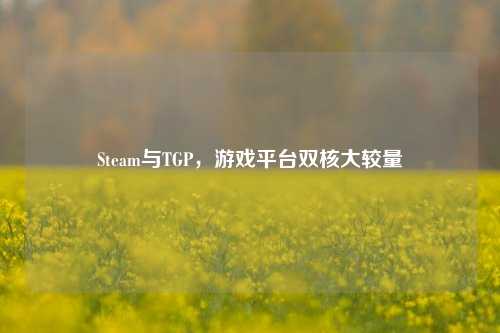 Steam与TGP，游戏平台双核大较量