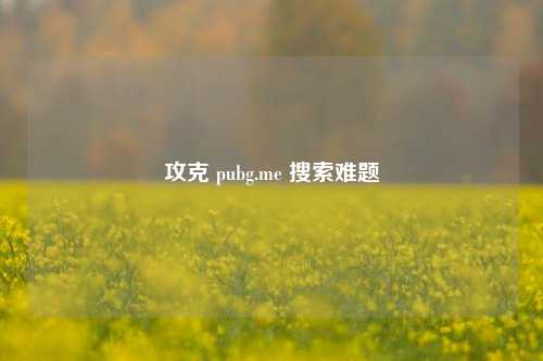 攻克 pubg.me 搜索难题