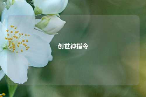创世神指令