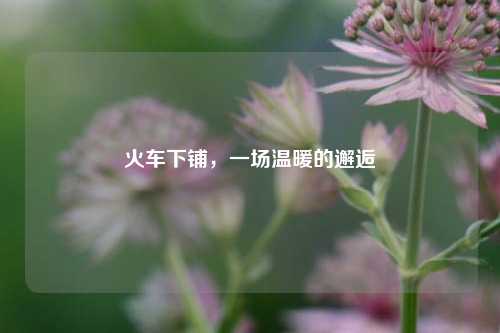 火车下铺，一场温暖的邂逅
