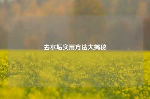 去水垢实用方法大揭秘