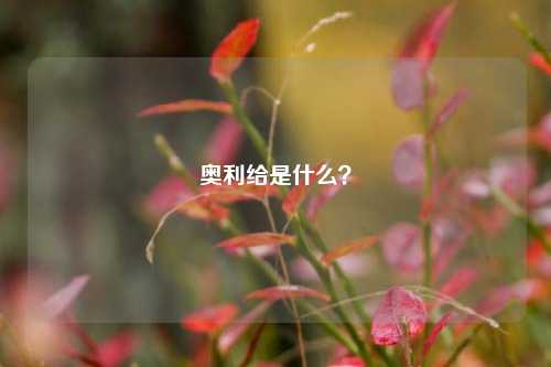 奥利给是什么？