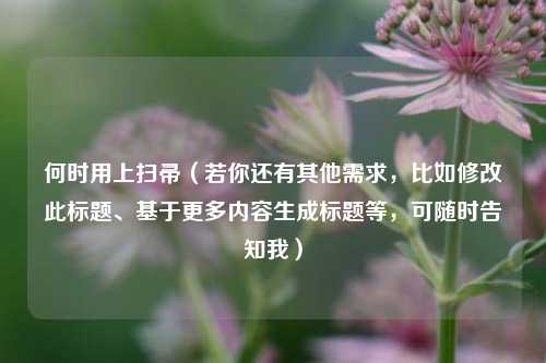 何时用上扫帚（若你还有其他需求，比如修改此标题、基于更多内容生成标题等，可随时告知我）