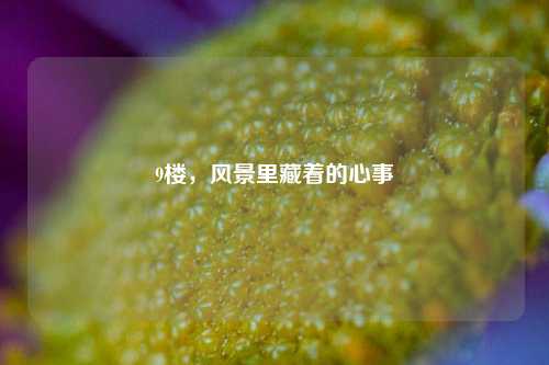 9楼，风景里藏着的心事