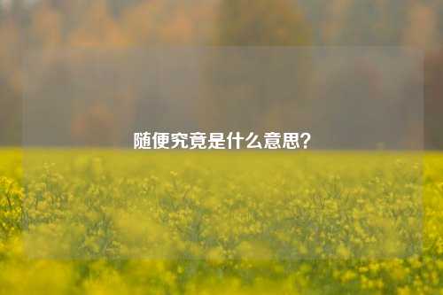随便究竟是什么意思？