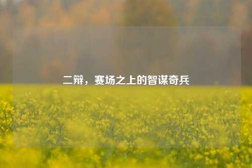 二辩，赛场之上的智谋奇兵