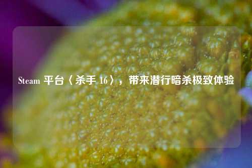 Steam 平台〈杀手 16〉，带来潜行暗杀极致体验