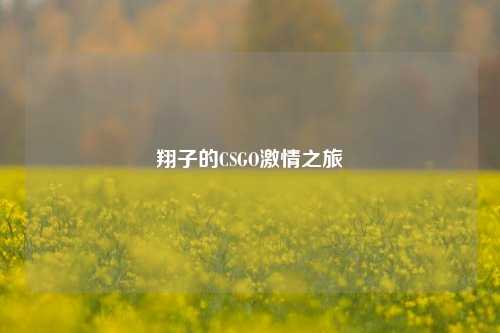 翔子的CSGO激情之旅