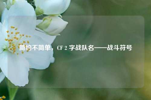 简约不简单，CF 2 字战队名——战斗符号
