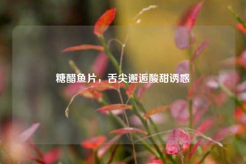 糖醋鱼片，舌尖邂逅酸甜诱惑