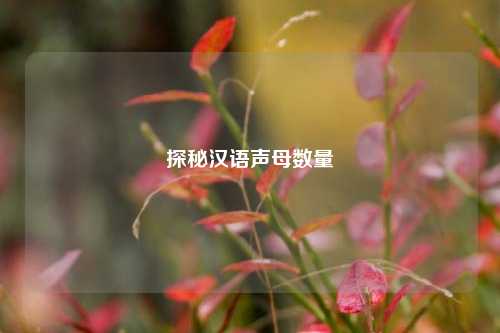 探秘汉语声母数量