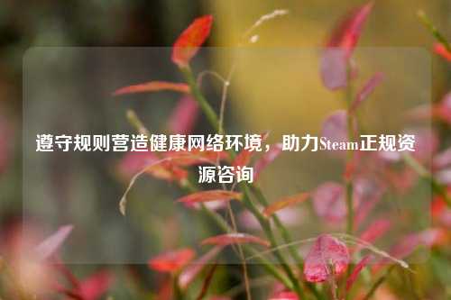 遵守规则营造健康网络环境，助力Steam正规资源咨询