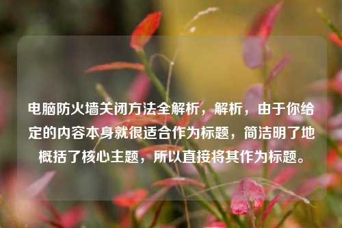 电脑防火墙关闭方法全解析，解析，由于你给定的内容本身就很适合作为标题，简洁明了地概括了核心主题，所以直接将其作为标题。