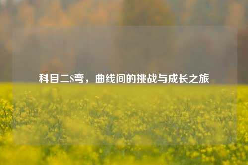 科目二S弯，曲线间的挑战与成长之旅
