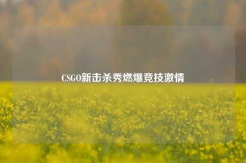 CSGO新击杀秀燃爆竞技激情
