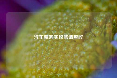 汽车票购买攻略请查收