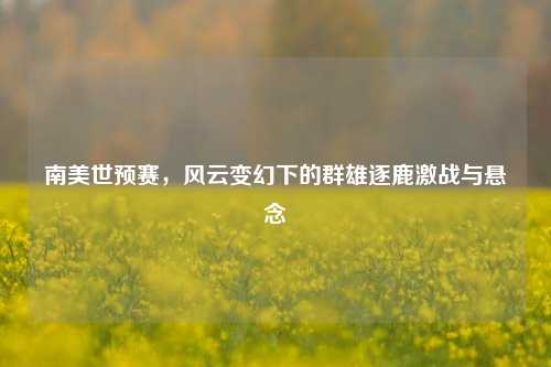 南美世预赛,风云变幻下的群雄逐鹿激战与悬念