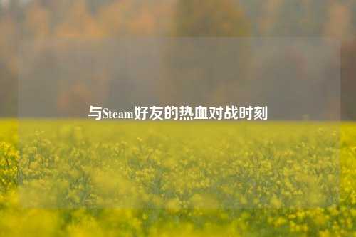 与Steam好友的热血对战时刻