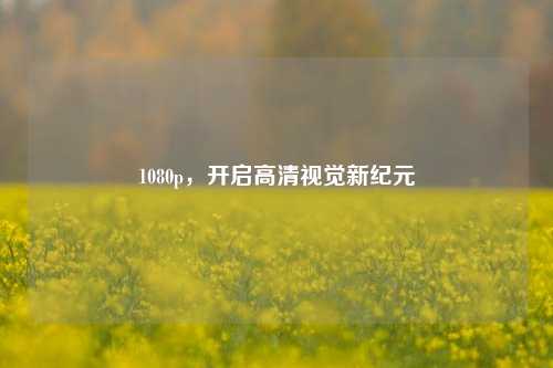 1080p，开启高清视觉新纪元