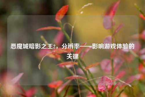 恶魔城暗影之王2，分辨率——影响游戏体验的关键