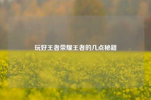 玩好王者荣耀王者的几点秘籍