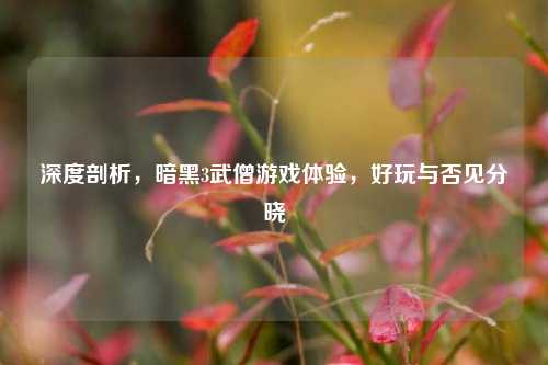 深度剖析，暗黑3武僧游戏体验，好玩与否见分晓